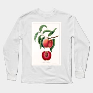 Carrot Peach Long Sleeve T-Shirt